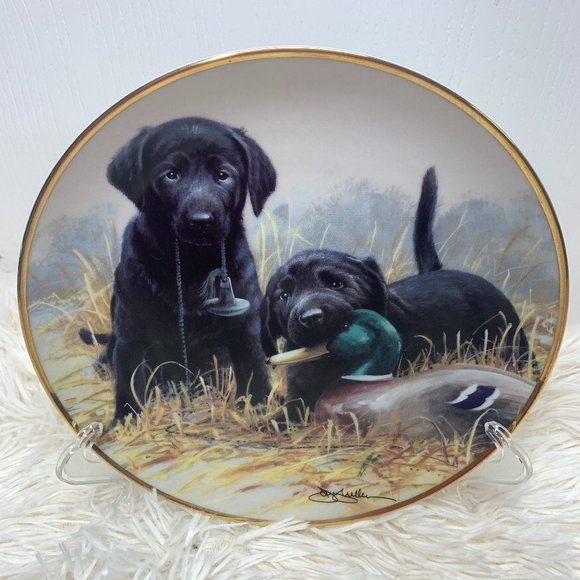 Franklin Mint Heirloom Collection Labrador Collectors Plate "Beginners Luck" - Picture 1 of 4